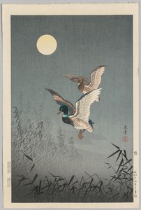 东京景观鸭子 作者 土屋小津