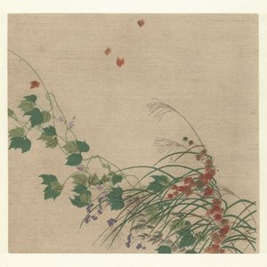 秋季 作者 月冈工业
