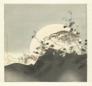 鹌鹑 作者 月冈工业