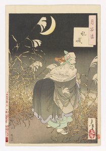 狐狸的哭泣# 月之百相》之十三