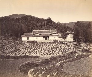Teafield & Josshouse在佩林，约1869年。 作者 东兴。