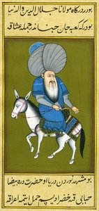 纳斯雷丁·霍贾（Nasreddin Hodja）向后骑马 作者 土耳其语学校