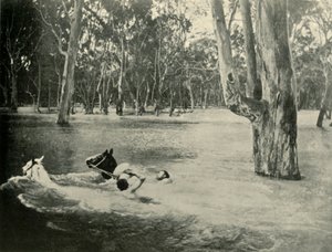 一位银行家，1901年。 作者 不明