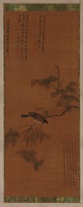 树叶上的鸟，明代，16-17世纪。 作者 不明