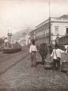1914年，里约热内卢的Botafogo街景 作者 不明
