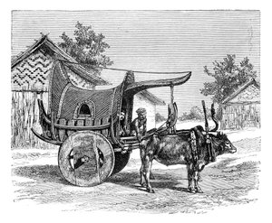 缅甸的缅甸货车，1895年 作者 不明