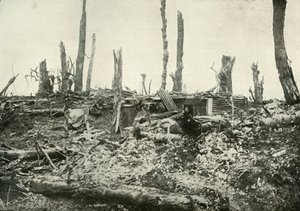 西尔伍德（Sylvan Wood）的原著，1919年。 作者 不明