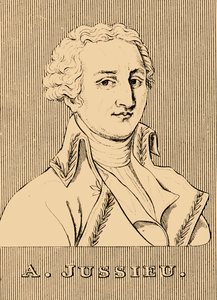 朱塞厄（A. Jussieu），1748-1836年，1830年。 作者 不明
