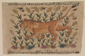 狮子，Shahmardan ibn Abi