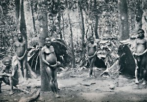 刚果民主共和国东北盆地一个侏儒村，1912年 作者 不明