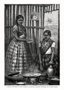 墨西哥Tierras Calientes的乡村厨房，1877年 作者 不明