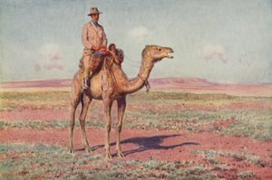 1923年，澳大利亚中部一景。 作者 不明