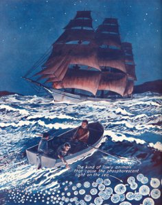 活着的夜灯照亮的大海，1935年 作者 不明