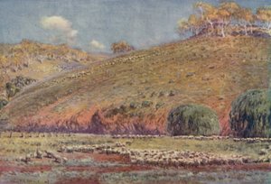 《奔跑的绵羊》，1923年。 作者 不明