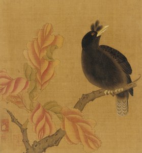 树枝上的黑鸟，秋叶，清朝，18世纪。 作者 不明