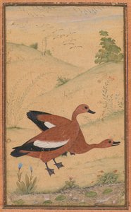 一对婆罗门鸭，c。 1595年，边界大概增加了1800年代。 作者 不明