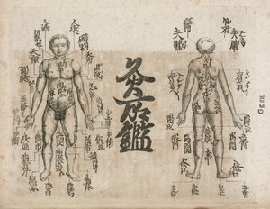 艾灸图显示应该避免烧焦的地方 作者 不明
