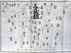 针灸：显示艾灸穴位的人体图，日本（与艾有关的图表，c 1690） 作者 不明