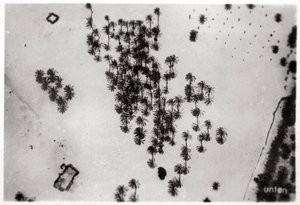 1931年1933年从齐柏林飞艇在阿拉伯沙漠中棕榈阴影的鸟瞰图 作者 不明