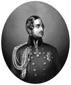 阿尔伯特1819-1861年，维多利亚女王亲王，1851年 作者 不明