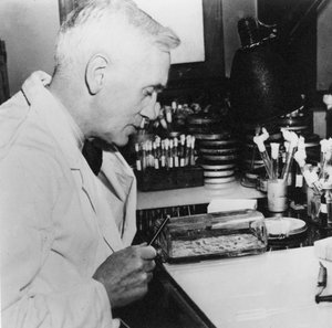 苏格兰细菌学家亚历山大·弗莱明（Alexander Fleming），1930年代在他的实验室中 作者 不明