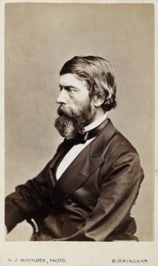 Alexander William Williamson, Scottish chemist, c 1865 作者 不明