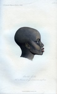 Amochi Galla，加拉的肖像，1848年 作者 不明