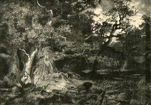 老德国森林，1890年。 作者 不明