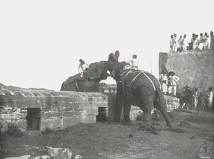 1895年，印度海得拉巴举行的大象大战。 作者 不明