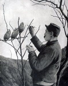 原始的战decoration装饰，法国，第一次世界大战，1915年 作者 不明