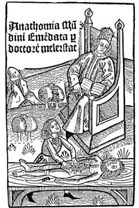 解剖学示范，1493年 作者 不明