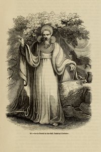 大德鲁伊身着全套司法服装，摘自《老英格兰：绘画博物馆》一书，1845年 作者 不明