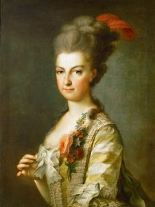 大公玛丽亚·克里斯蒂娜（Maria Christina）1742-1798年，特申公爵夫人，身着条纹真丝裙，约1766-1770年 作者 不明
