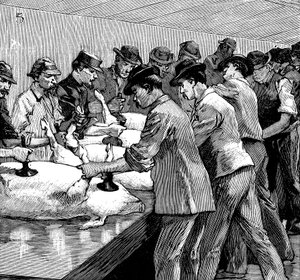 装甲公司的猪屠宰场，美国伊利诺伊州芝加哥，1892年 作者 不明