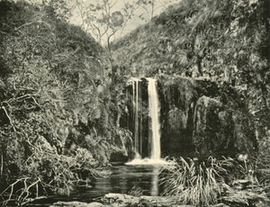 Back Creek Falls，维多利亚州布坎河，1901年。 作者 不明