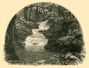 Bagworthy Waterslide，1898年。 作者 不明