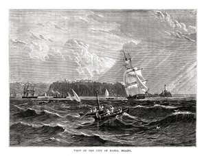 巴西，巴伊亚州，1877年 作者 不明