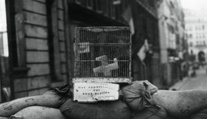 1944年8月，解放巴黎的Chateaudun街路障 作者 不明