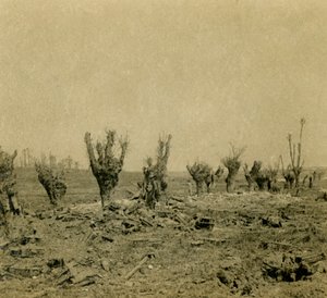 法国北部，毛里帕斯，战场，c1914-c1918 作者 不明