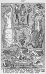 牛肉，1907年，1907年 作者 不明