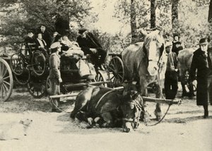 1939年至1940年，1941年，比利时道路上的难民。 作者 不明