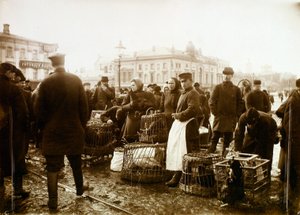 鸟市场，特鲁布纳亚广场，俄罗斯莫斯科，1908年 作者 不明