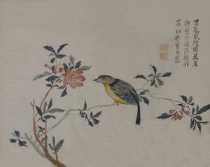 花枝上的鸟，19世纪。 作者 不明