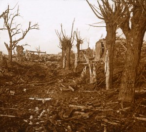 爆破景观，法国北部贝洛伊恩桑特尔，c1914-c1918 作者 不明