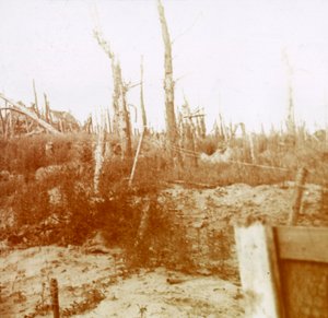比利时佛兰德地区Nieuwpoort的喷砂木材c1914-c1918 作者 不明