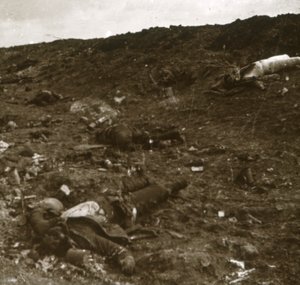 身体，法国北部索姆省，c1916-c1918 作者 不明