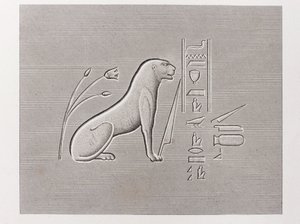 书：埃及描述 作者 不明