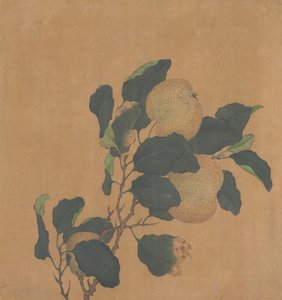 树的分支用果子。 作者 不明