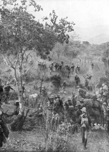 第一次世界大战，1915年，在德意志东非边界上的灌木丛中的英军 作者 不明