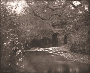 布鲁克和桥梁在新森林，汉普郡，1894年。 作者 不明